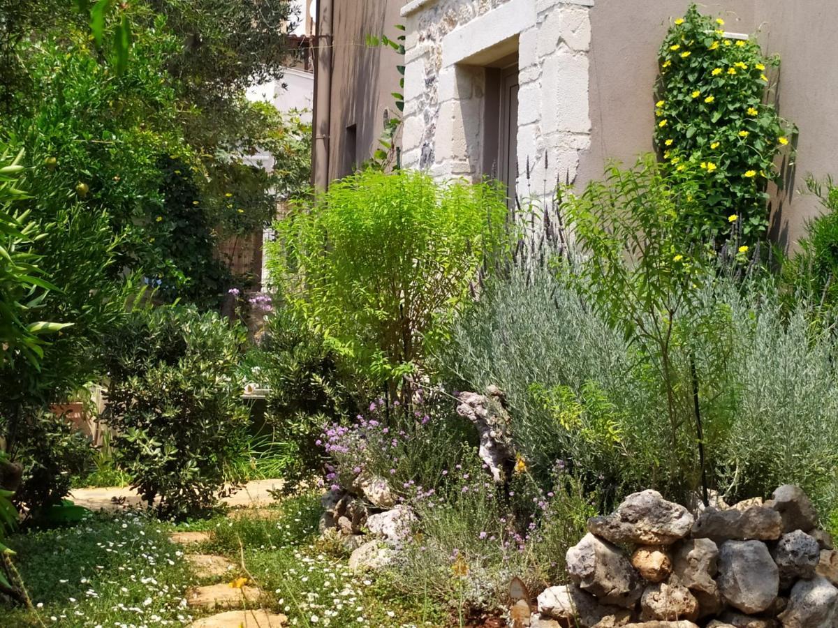 Olive Lemon Biophilic House & Lush Forest Garden Вамос Экстерьер фото