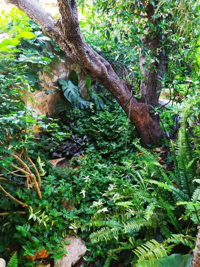 Olive Lemon Biophilic House & Lush Forest Garden Вамос Экстерьер фото