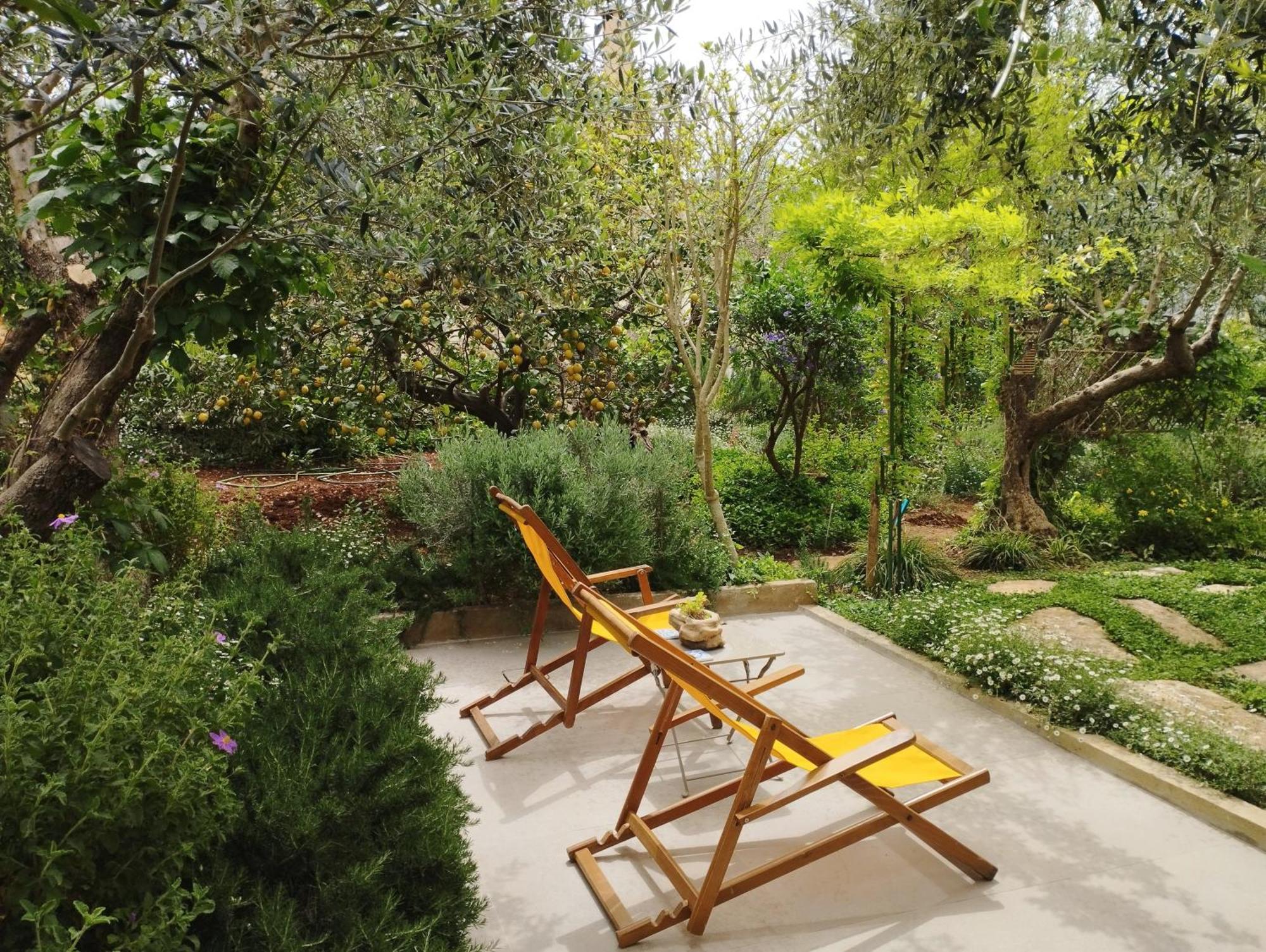 Olive Lemon Biophilic House & Lush Forest Garden Вамос Номер фото